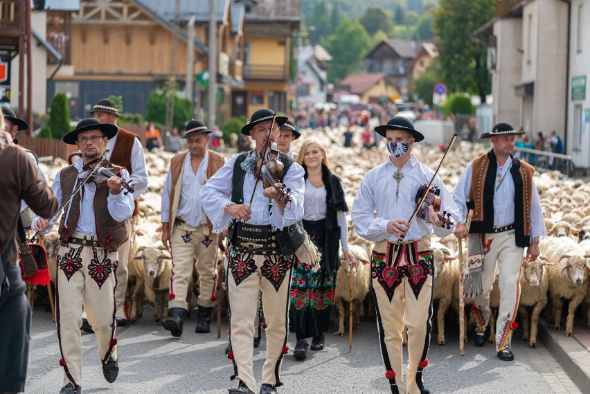 Stada prowadzone przez baców i juhasów przeszły ulicami...