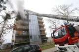 Duży pożar na Sołtysowicach we Wrocławiu. Konieczna była ewakuacja! [ZDJĘCIA, FILM]