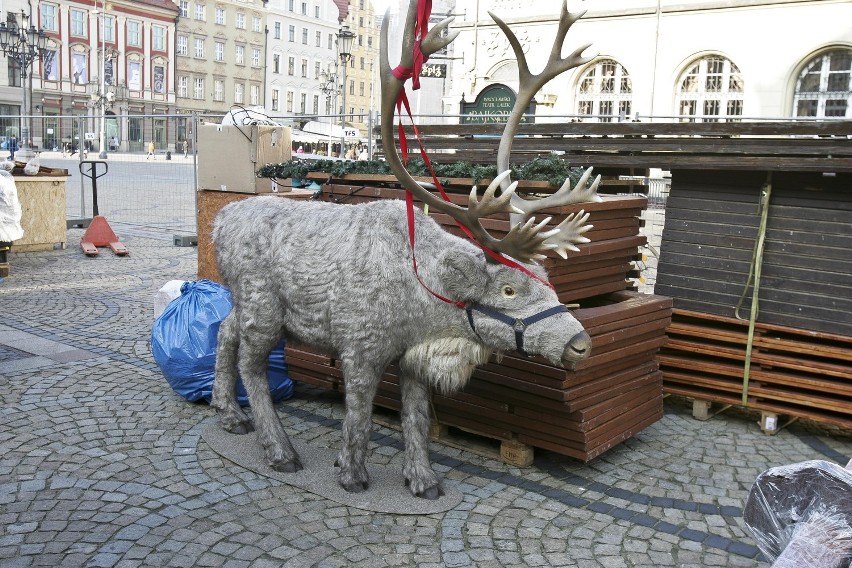 Wrocław: Rynek coraz bardziej świąteczny (ZDJĘCIA)