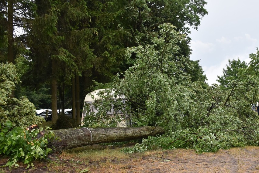 Potężna burza przeszła nad Człuchowem - połamane drzewa, niebezpieczna sytuacja na kempingu ZDJĘCIA