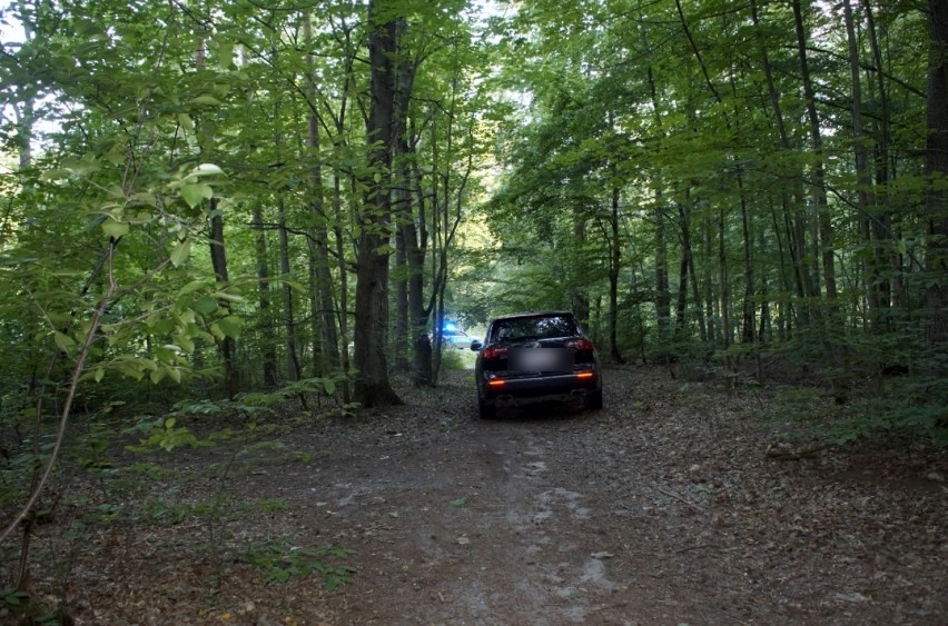 Pościg policji w Słupsku za pijanym kierowcą Acury. Uciekał aż do lasu