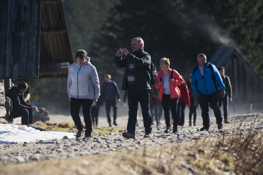 Krokusowe szaleństwo. Tłumy, mandaty i oświadczyny [ZDJĘCIA]