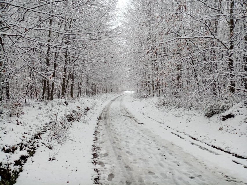 Zima w Górach Opawskich. Spadł pierwszy śnieg