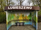 Lubieszewo wiosną. Kolorowe przystanki w nowej szacie, żonkile zdobią centrum wsi