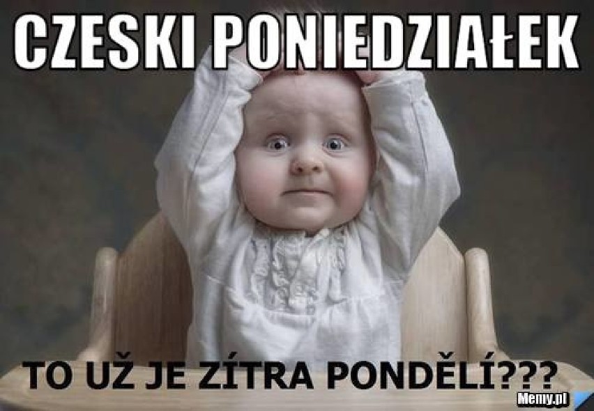 Czeskie MEMY powalają! Sam język bawi do łez [GALERIA ZDJĘĆ]