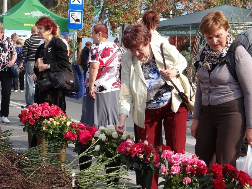 Święto kwiatów 2014: stoiska oraz MOK