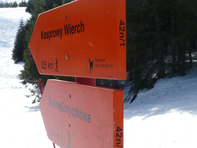 Sezon na skitoury w Tatrach powoli się rozkręca. Wędrujący na nartach muszą pamiętać o zasadach. To m.in. pomarańczowe tabliczki przy szlakach.