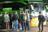 Promocja FlixBusa w Polsce. Bilety już od 99 groszy. Gdzie dojedziemy z Opola?