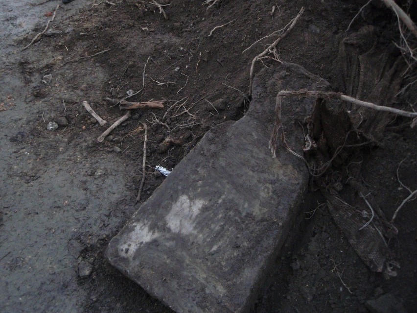 Ludzkie kości znalezione na placu budowy w Chorzowie [ZDJĘCIA]