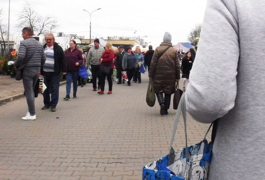 Zakupy na targowisku Korej w Radomiu w sobotę, 23 kwietnia. Dużym zainteresowaniem cieszyły się kwiaty, krzewy i drzewka - zobacz zdjęcia