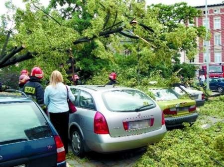 Właściciele samochodów przygniecionych drzewem w centrum miasta byli zdumieni i zaskoczeni. Strażacy szybko usunęli z zaparkowanych pojazdów konary lipy i odsłonili obraz zniszczeń.