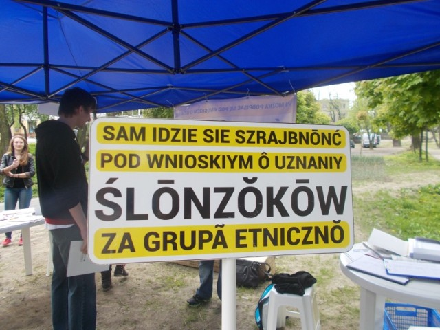 Po raz pierwszy w Mikołowie popisy zbierano 25 kwietnia