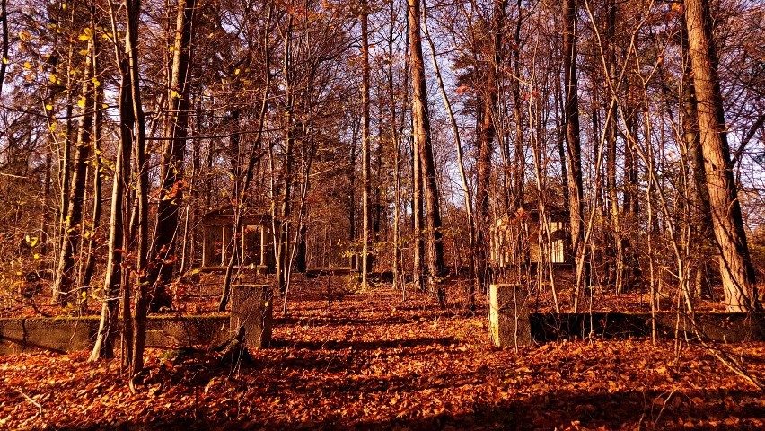 Tajemniczy grobowiec i mroczny cmentarz górników w Kunicach jest ukryty głęboko w Zielonym Lesie