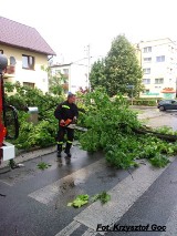 Krajobraz po nawałnicach w powiecie: powalone drzewa na drogach, piorun uderzył w kościół w Niegowie