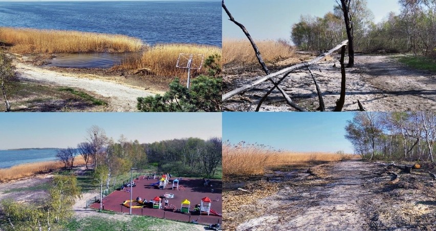 Trzebież. W tym roku zaprojektują nową promenadę. Później ruszy budowa [ZDJĘCIA]