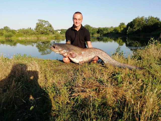 Michał Dobrek z Łaz złowił suma o długości 175 cm.