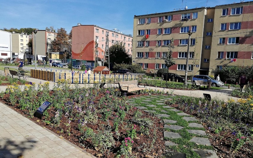 Kraków ma kolejne trzy parki kieszonkowe [ZDJĘCIA]