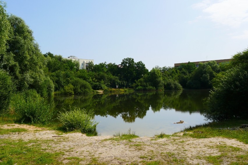 Co z terenem zbiorników wodnych Glinki w Lasku Złotoryjskim w Legnicy? Jest projekt rewitalizacji, są fundusze