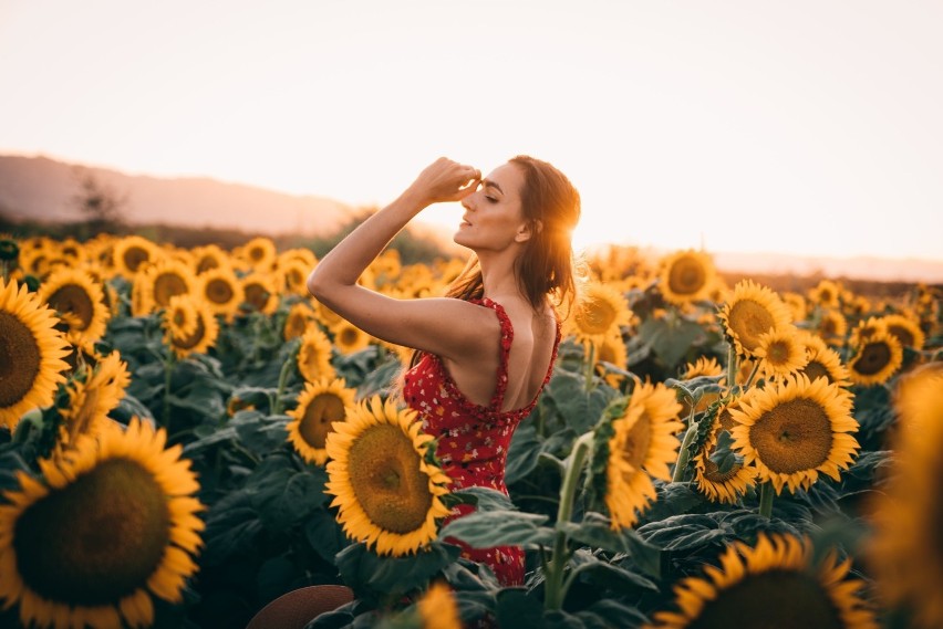 Najpiękniejsze zdjęcia Instagramerów wśród słoneczników....