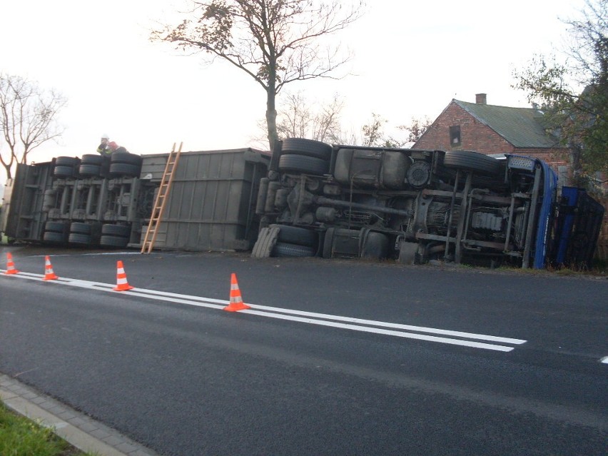 Wypadek w Jaroszewicach Rychwalskich. Bydło na drodze