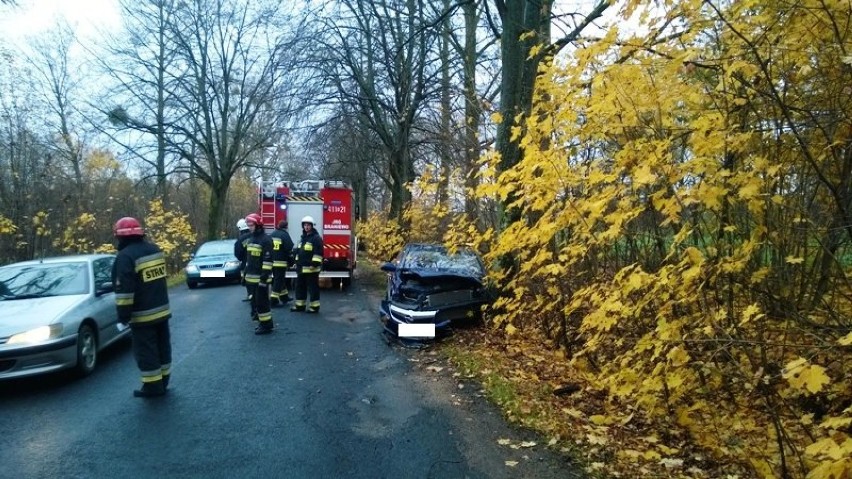 Wypadek Zakrzewiec. Samochód uderzył w drzewo