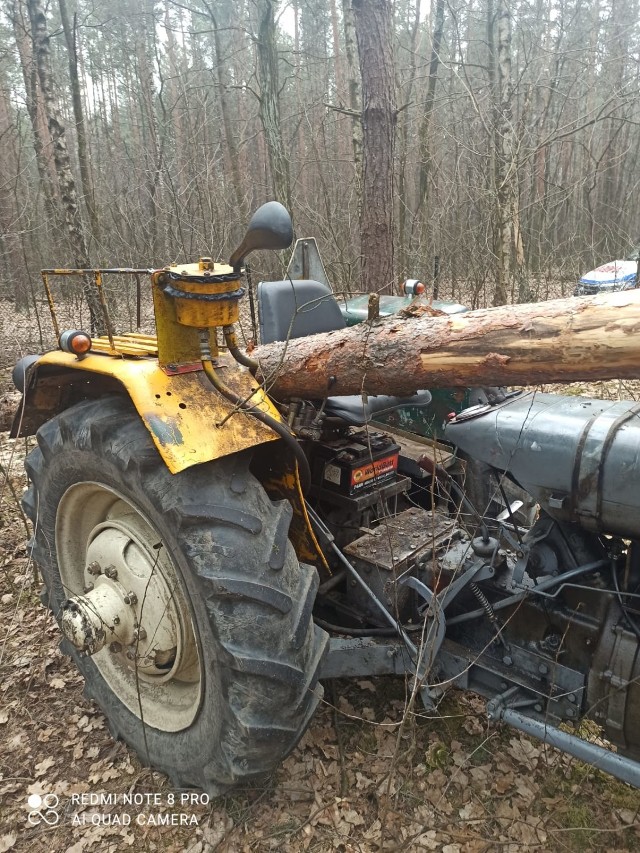 Wypadek w lesie w gminie Radomsko. Mężczyzna przygnieciony drzewem
