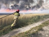 Strażacy walczyli z ogromnym pożarem w gminie Niechlów. Uratowali gospodarstwo rolne