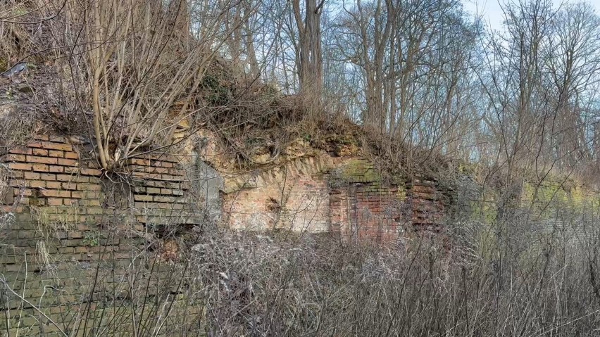 Fosa Fortu Gwiaździstego w Głogowie