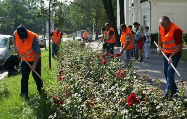 Prezydent Inowrocławia Ryszard Brejza  w ramach happeningu sprząta ulice miasta.