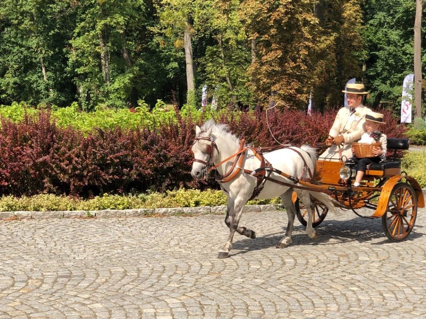 Rafał i Wiktor Zielińscy wystartowali podczas V...