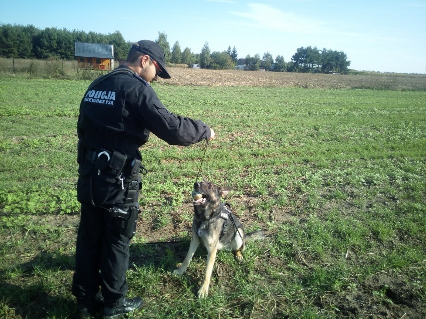 Szkolenie psów z Komendy Powiatowej Policji w Radziejowie [zdjęcia]