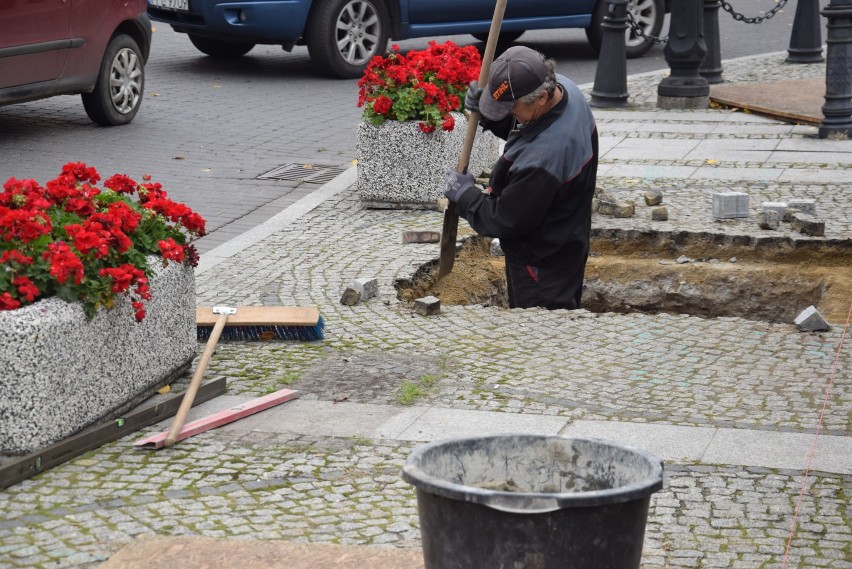 Lada dzień na Rynku pojawią się duże drzewa   