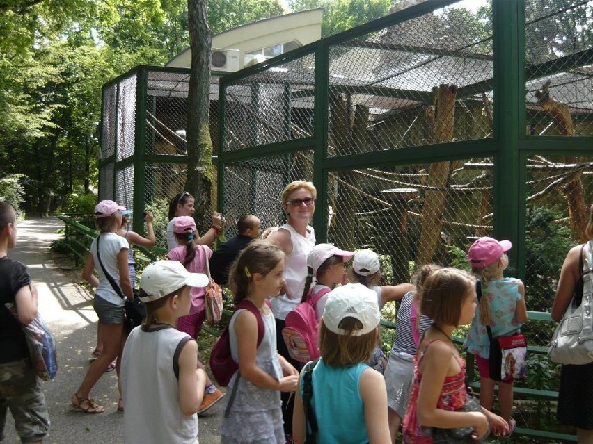 Wycieczka do zoo w Łodzi