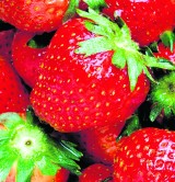 Dziś Dzień Jedzenia Truskawek! Co kryją w sobie czerwone owoce? Jak można je przyrządzić?