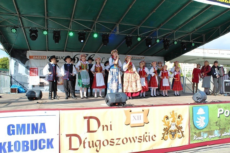 Dni Długoszowskie 2013