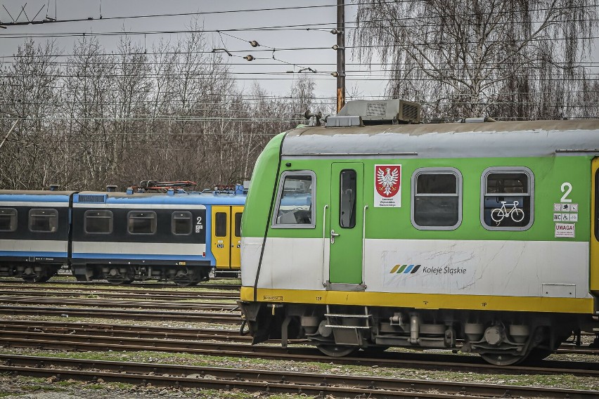 Koleje Śląskie podsumowały kwartał linii S9 - trasy łączącej...
