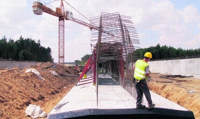 Wiadukty i przejścia dla zwierząt muszą  powstać,  zanim drogowcy zaczną  układać  nawierzchnię jezdni