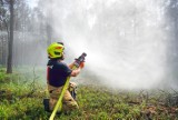 14 zastępów straży walczyło z wielkim pożarem lasu, który wybuchł w okolicach Józefowa. Na szczęście to były tylko ćwiczenia!
