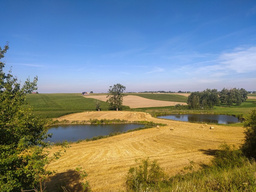 Samotna wyprawa rowerowa z Sieradza do Gdańska młodego sieradzanina Dawida Sowijaka ZDJĘCIA