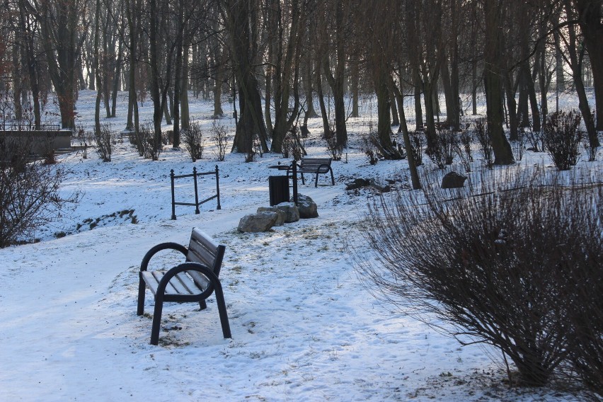 Park Kachla w Bytomiu na "biało". Zachwyca także zimową...