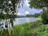 Jezioro Przywidzkie w jesiennej aurze. Zobaczcie nasze zdjęcia! 
