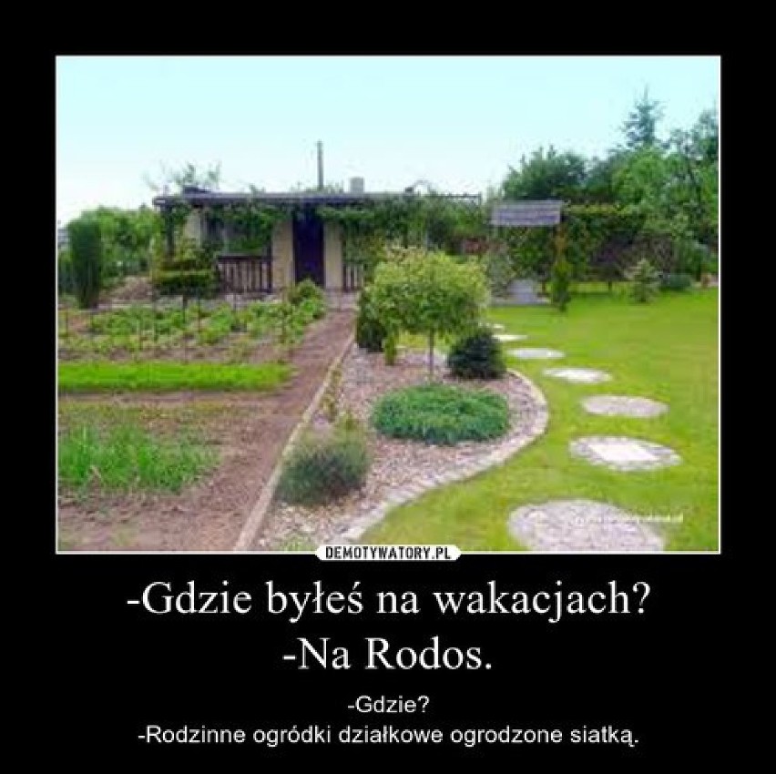 MEMY o RODOS: Wakacje i urlop spędzasz na RODOS? Nic straconego! MEMY o działkowcach i ogródkach działkowych sprawią, że zamarzysz o grillu!