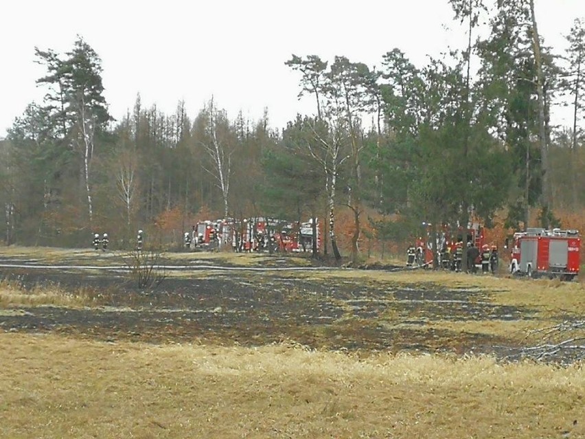 Strażacy z powiatów gliwickiego, raciborskiego i rybnickiego...