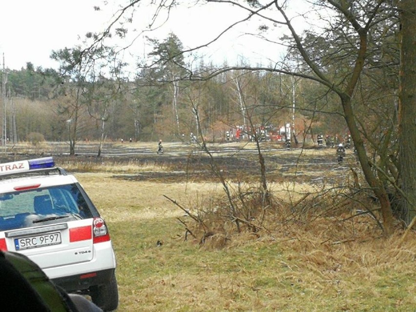 Strażacy z powiatów gliwickiego, raciborskiego i rybnickiego...