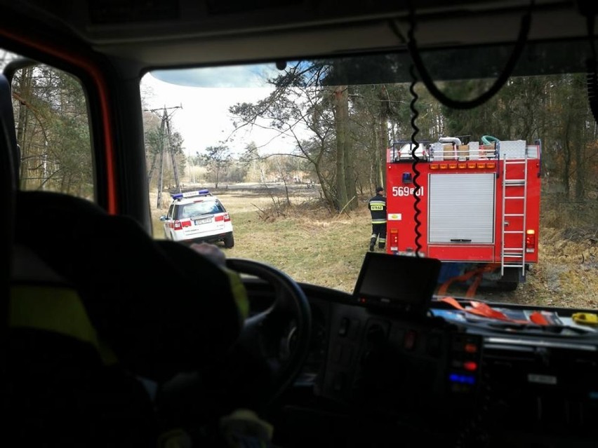 Strażacy z powiatów gliwickiego, raciborskiego i rybnickiego...