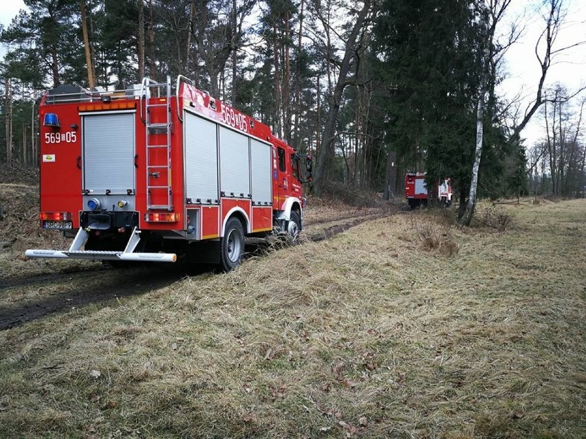 Strażacy z powiatów gliwickiego, raciborskiego i rybnickiego...