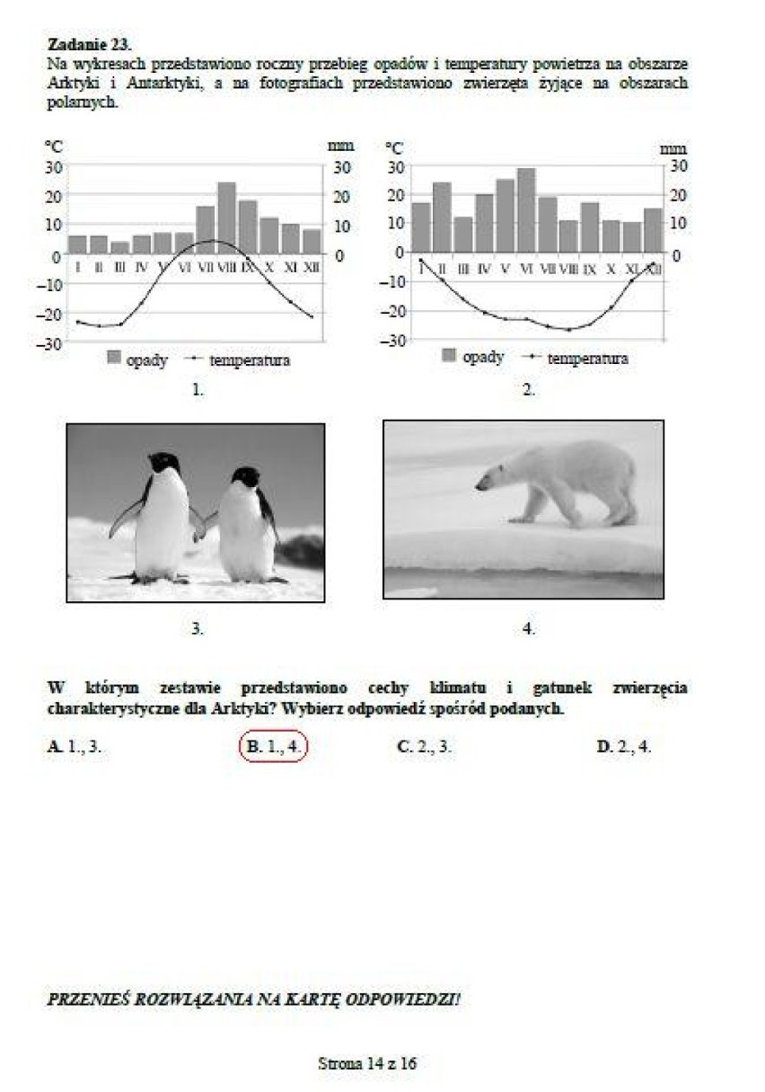 14 listopada 2012 druga część próbnego egzaminu...