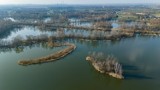 Kraków. Przylasek Rusiecki w Nowej Hucie to nie tylko kąpielisko. To też dziki archipelag. Raj dla wędkarzy