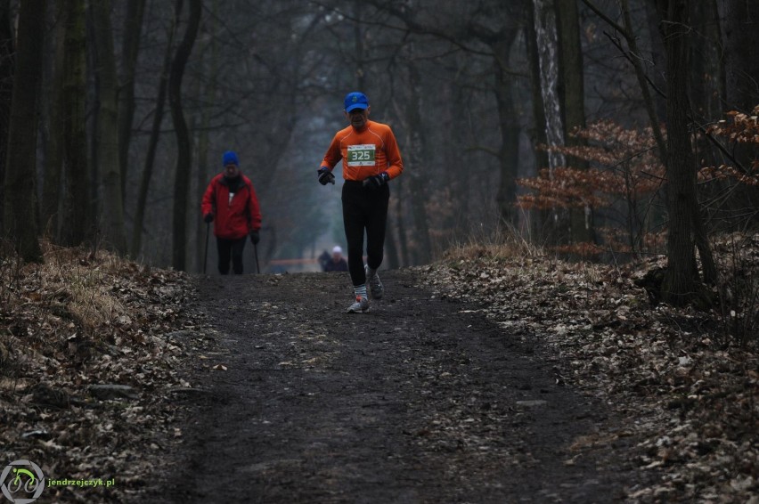 City Trail w Katowicach - zdjęcia z finałowego biegu [28 luty 2016]