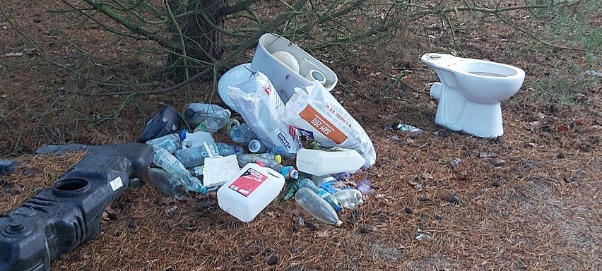 Dzikie wysypisko śmieci nad jeziorem Tarpno w Grudziądzu.